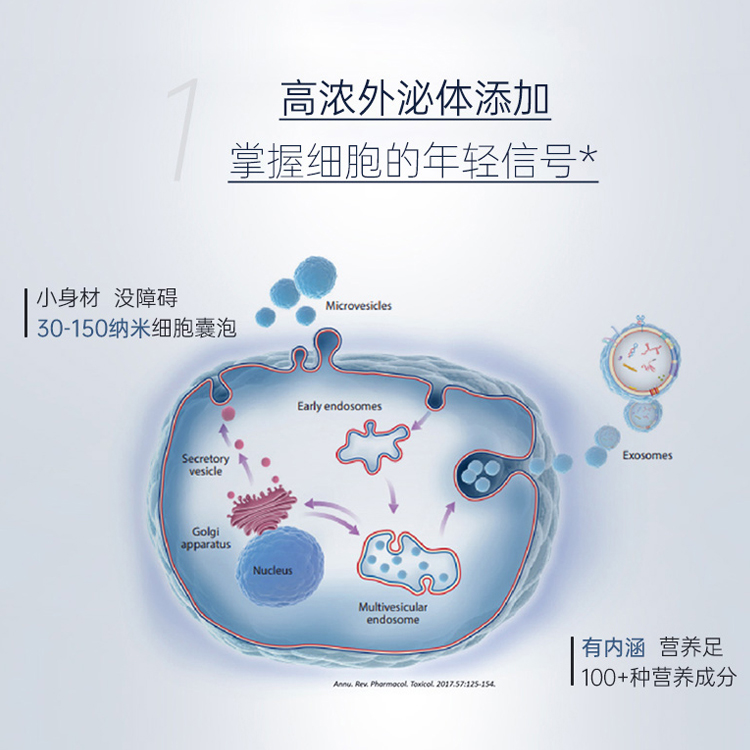 臍帶外泌體抗衰凍干粉
