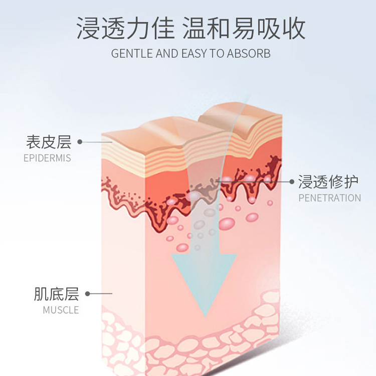 多肽潤養凍干粉組合