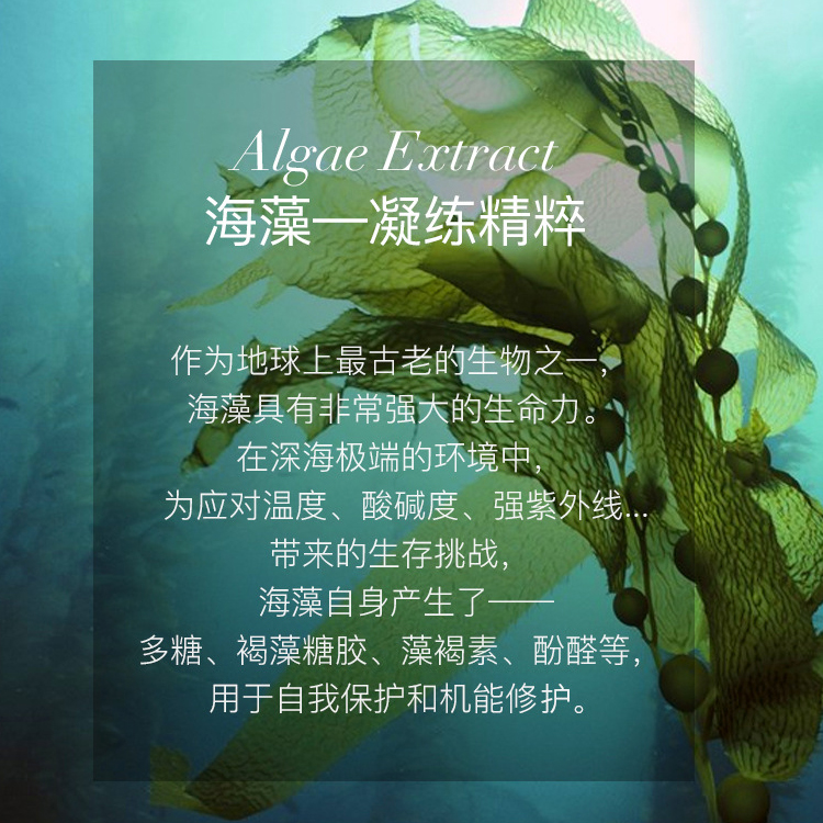 海藻水晶膠原蛋白面膜