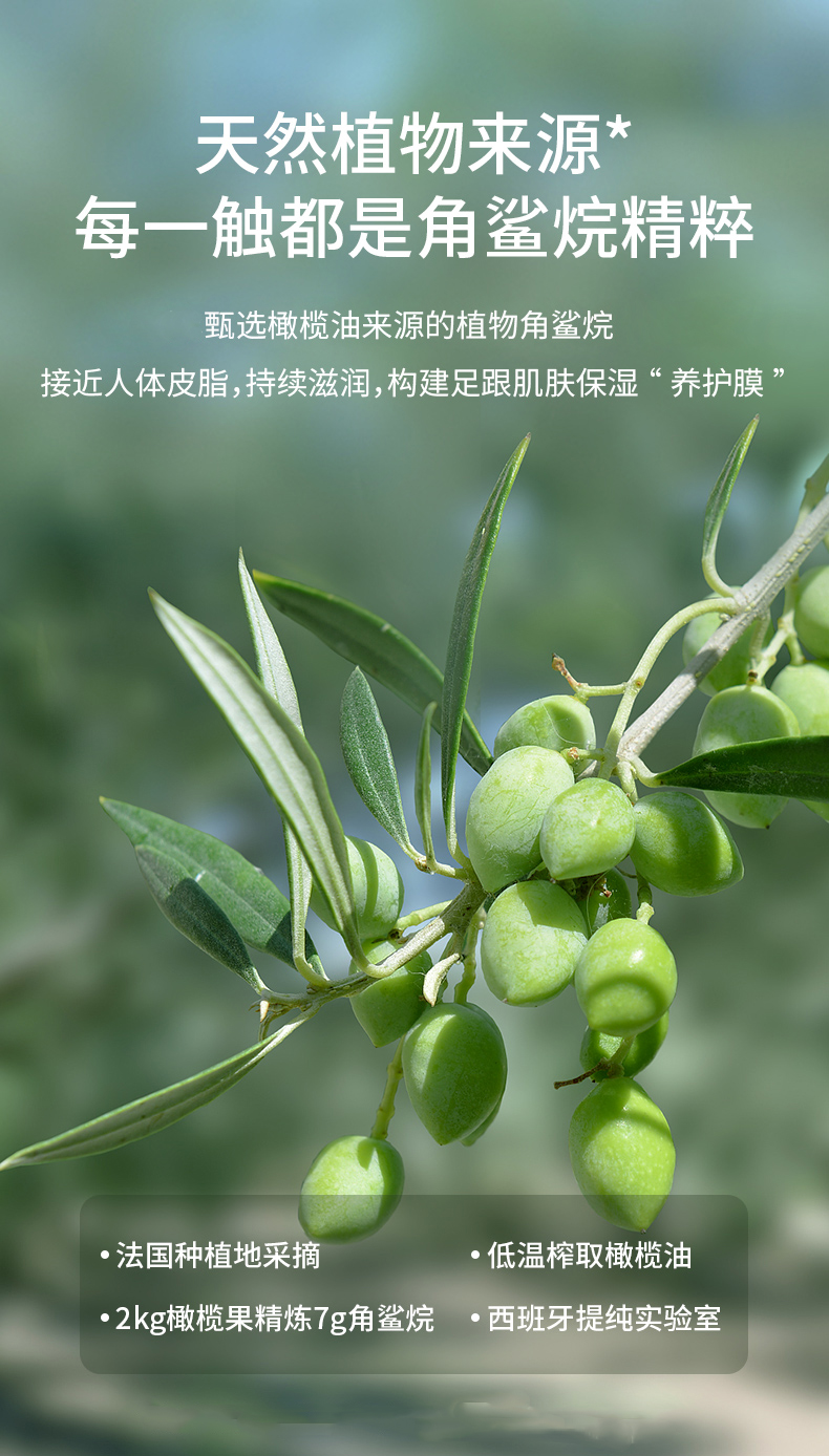 1660718937429446.jpg 詳情頁_04.jpg