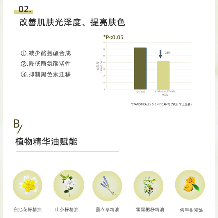 海茴香精華油面膜