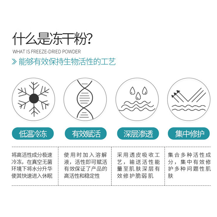 修護凍干粉