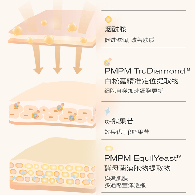 白松露酵母精華涂抹面膜